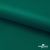 Ткань подкладочная Таффета, 19-5420, 53 г/м2, антистатик, шир. 150 см, вечнозеленый - купить в Керчи. Цена 57.16 руб.