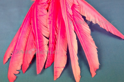 Декоративный Пучок из перьев, перо 25см/розовый - купить в Керчи. Цена: 14.40 руб.
