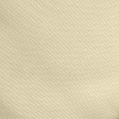 Ткань подкладочная Таффета 14-1014, антист., 53 гр/м2, шир.150см, цвет бежевый - купить в Керчи. Цена 62.37 руб.