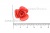 Украшение "Розы малые №1" 20мм - купить в Керчи. Цена: 32.49 руб.