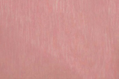 Органза однотонная "Амелия" С19 (Розовый) 280 см - купить в Керчи. Цена 303.09 руб.