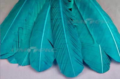 Декоративный Пучок из перьев, перо 24см/голубой - купить в Керчи. Цена: 12.19 руб.