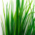 Трава искусственная -2, шт (осока 41см/8 см)				 - купить в Керчи. Цена: 104.57 руб.