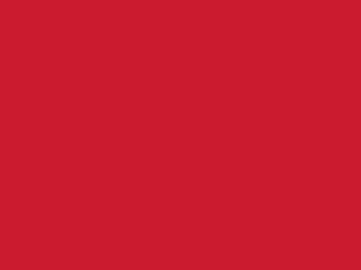 Сетка подкладочная красный, 60г/м2 (10 м/кг) - купить в Керчи. Цена 885.73 руб.