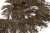 008-коричневый, Бахрома арт.001 шир.10см (упак.12+/-0,5м) - купить в Керчи. Цена: 1 017.33 руб.