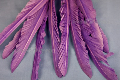 Декоративный Пучок из перьев, перо 25см/фиолетовый - купить в Керчи. Цена: 12.19 руб.