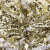 Трикотажное полотно, Сетка с пайетками, шир.130 см, #315, цв.-белый/золото - купить в Керчи. Цена 693.39 руб.