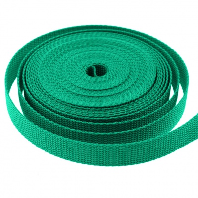 Стропа текстильная, шир. 25 мм (в нам. 50+/-1 ярд), цвет яр.зелёный - купить в Керчи. Цена: 397.52 руб.