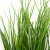 Трава искусственная -4, шт  (осока 50 см/8 см  7 листов)				 - купить в Керчи. Цена: 130.73 руб.