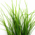 Трава искусственная -3, шт (осока 50 см/8 см  5 листов)				 - купить в Керчи. Цена: 124.17 руб.