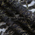 Кружевное полотно XD LACE 1-4, 80 гр/м2, шир.150см, цвет чёрный - купить в Керчи. Цена 245.94 руб.